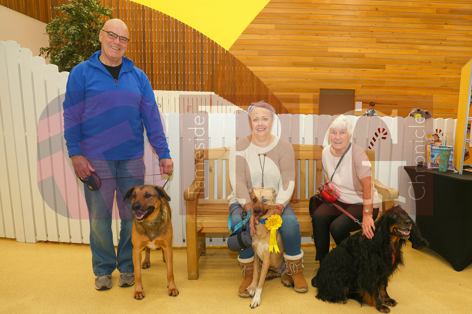 DOG TRUST DENTON XMAS (64).JPG