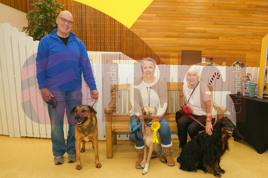 DOG TRUST DENTON XMAS (64).JPG