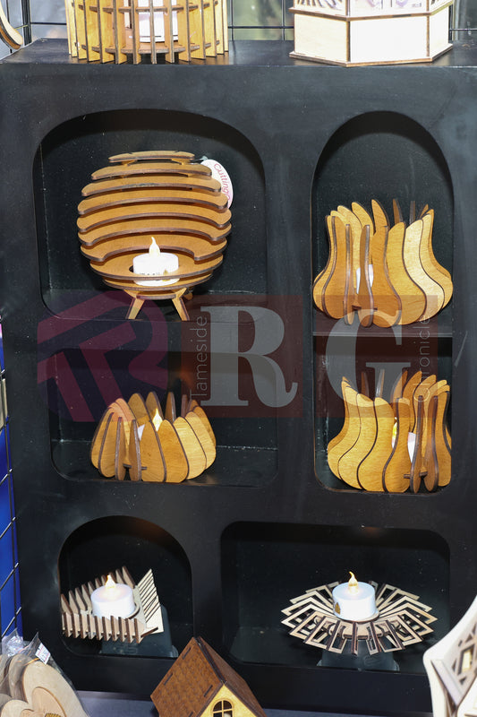 FESTIVAL ON THE GREEN 2025 (59).JPG