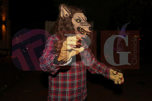 PIRATES OF THE HALLOWE'EN' HADFIELD (36).JPG