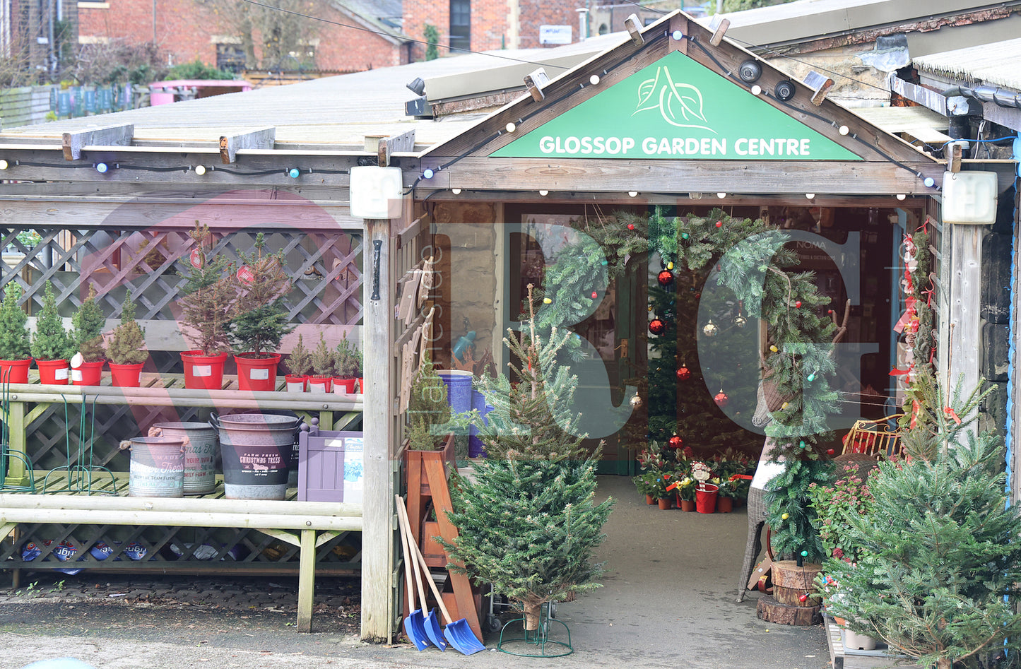 GLOSSOP SHOP XMAS WINDOWS 2024 (18).JPG
