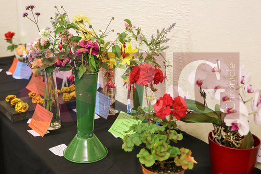 TINTWISTLE GARDENERS SHOW (19).JPG