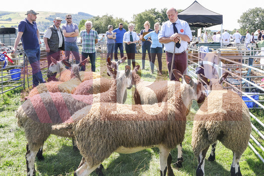 MOTTRAM SHOW  2025 (46).JPG