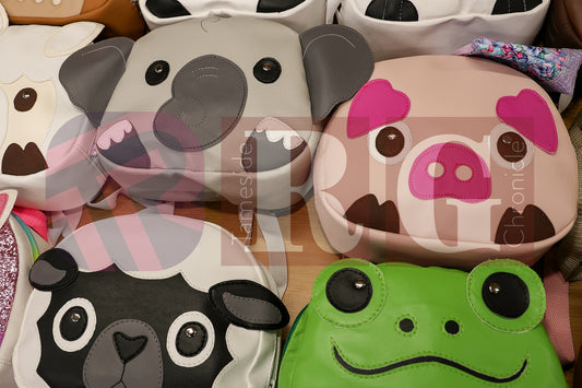 MOSSLEY TOWN TEAM AUTUMN FAIR (18).JPG