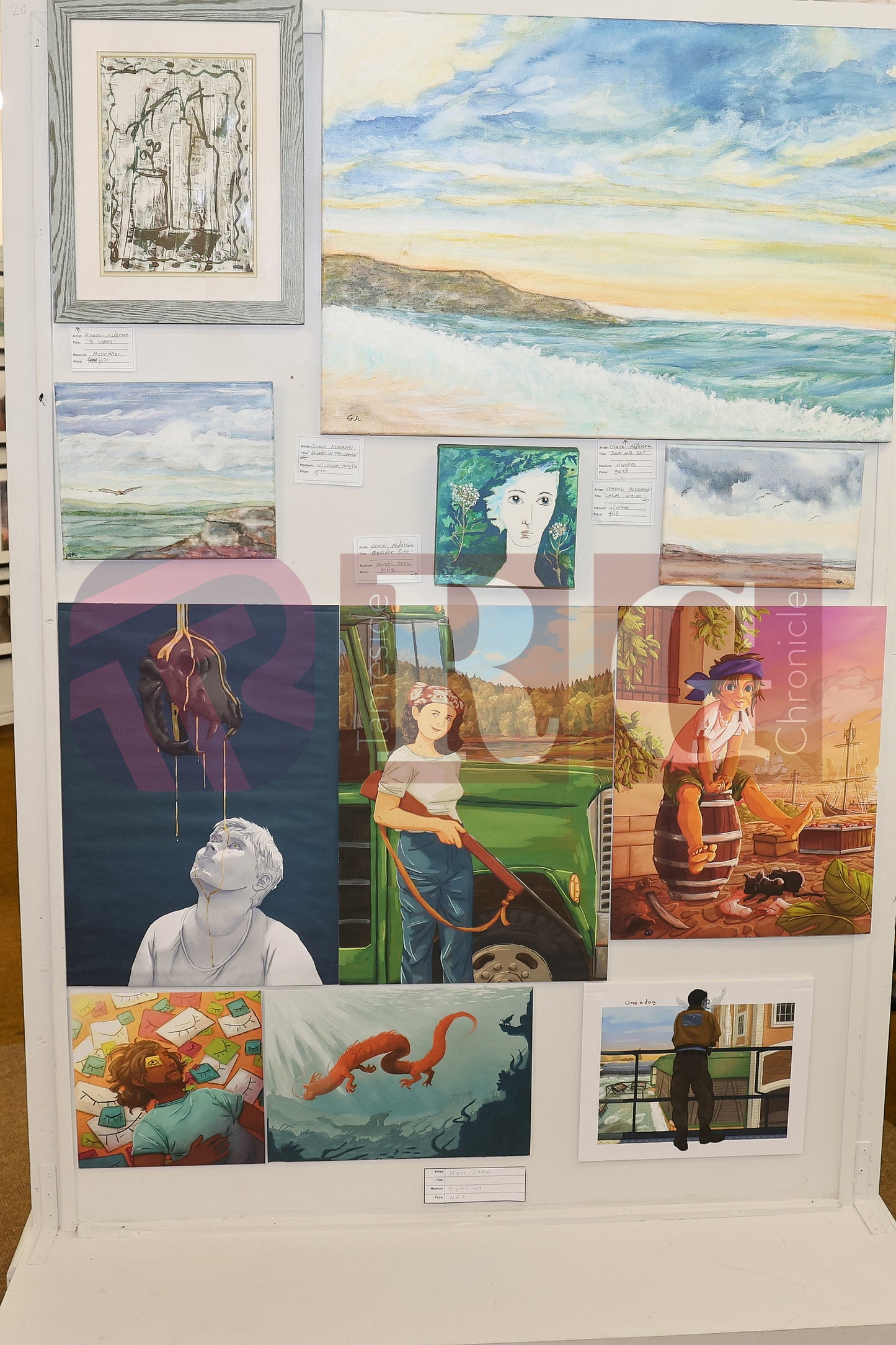 VICTORIA HALL EXHIBITION 2025 (13).JPG