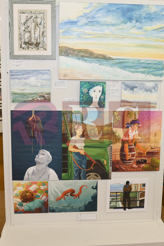 VICTORIA HALL EXHIBITION 2025 (13).JPG