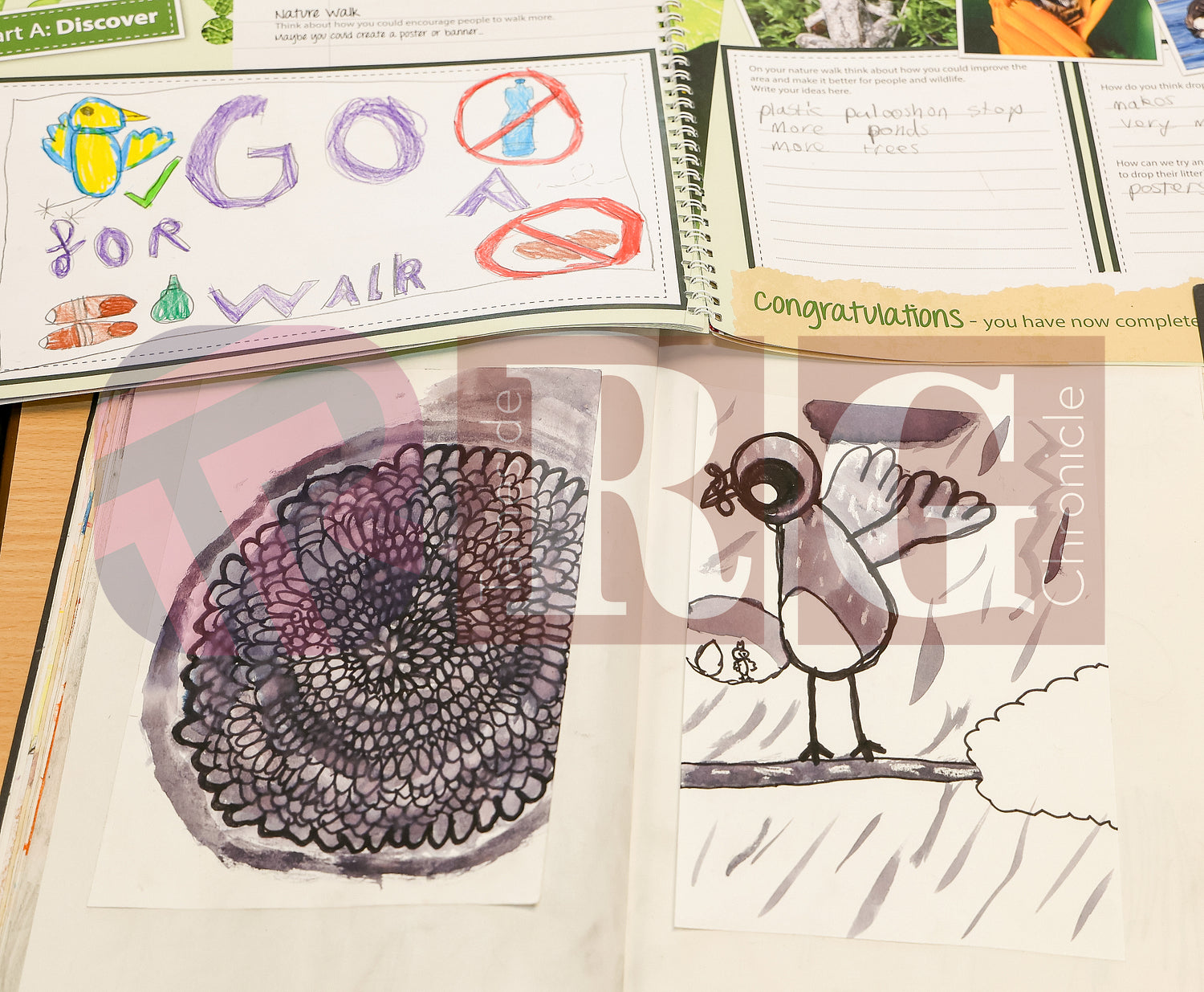 ALDWYN PRIMARY ARTS 2025 (1).JPG