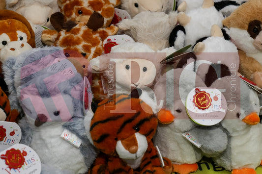 MOSSLEY TOWN TEAM AUTUMN FAIR (30).JPG