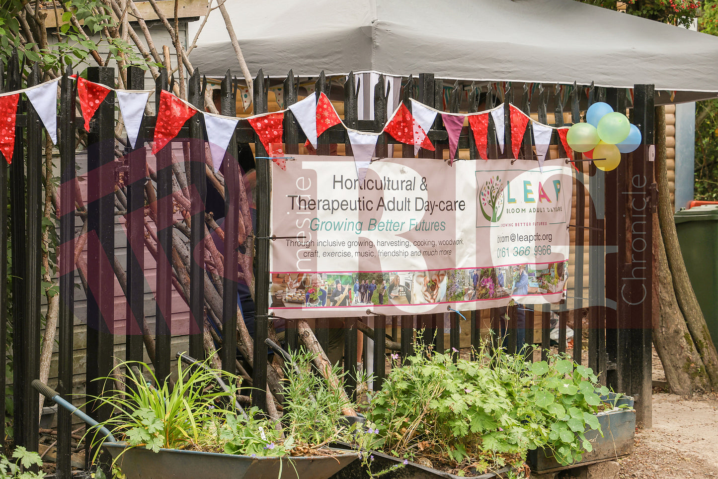 BLOOM FUN DAY HYDE (1).JPG