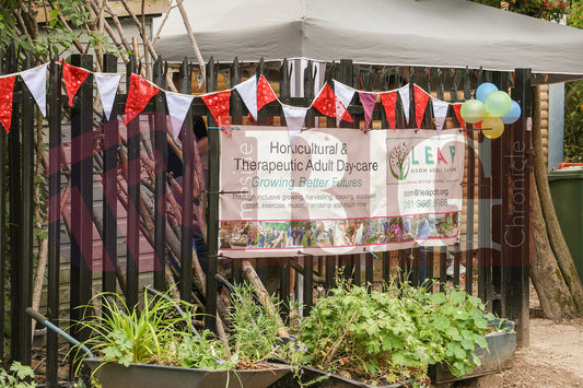 BLOOM FUN DAY HYDE (1).JPG