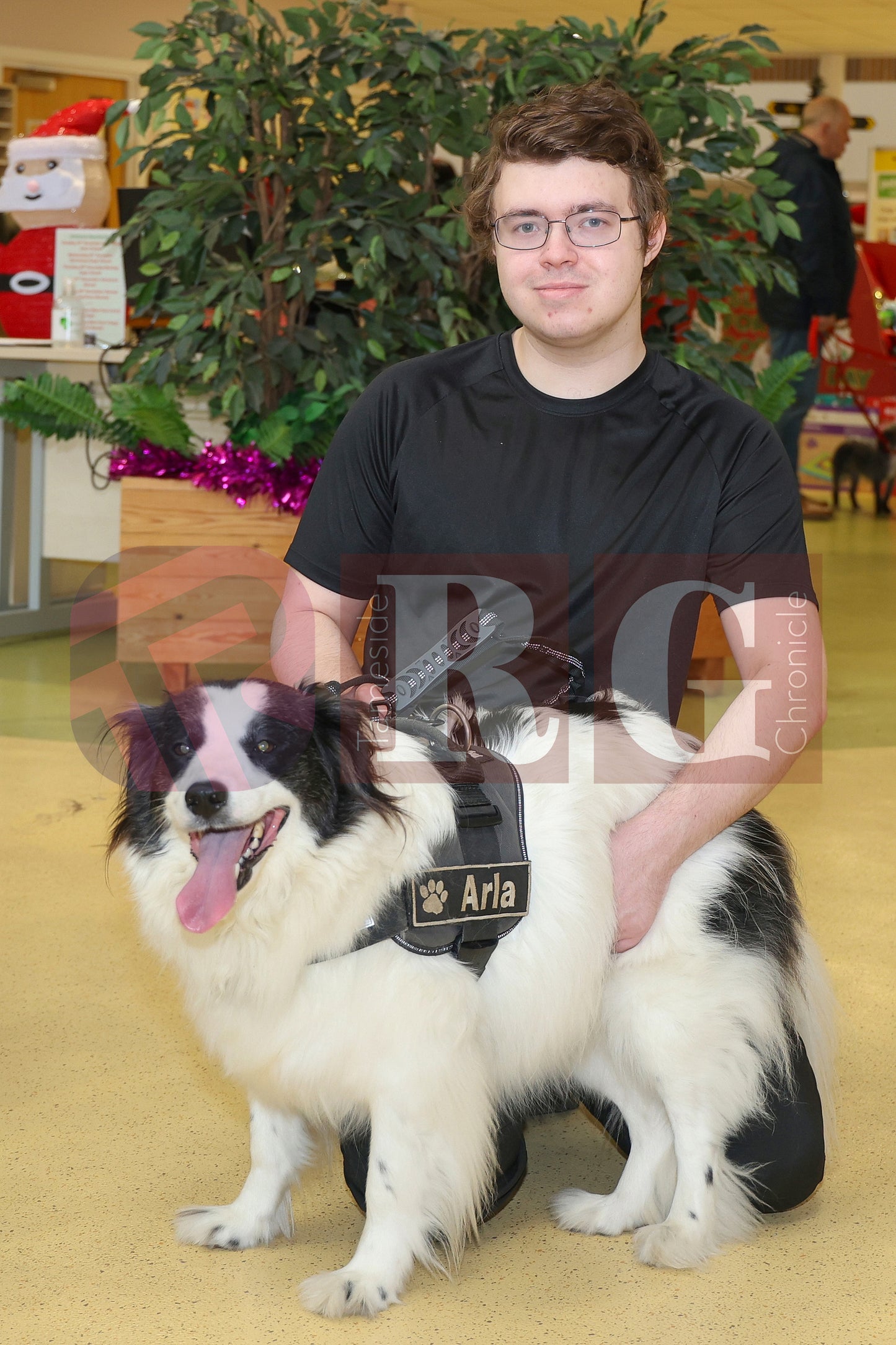 DOG TRUST DENTON XMAS (16).JPG