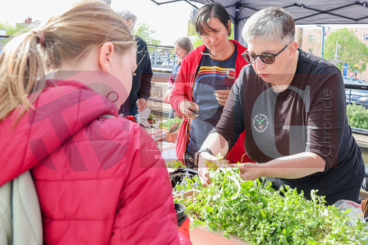 PLANT & SWAP EVENT TESCO STALYBRIDGE 2025 (42).JPG