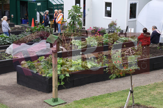 WATERLOO PARK BRITAIN IN BLOOM 2025 (59).JPG