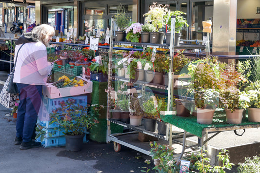 ASHTON MARKET (3).JPG