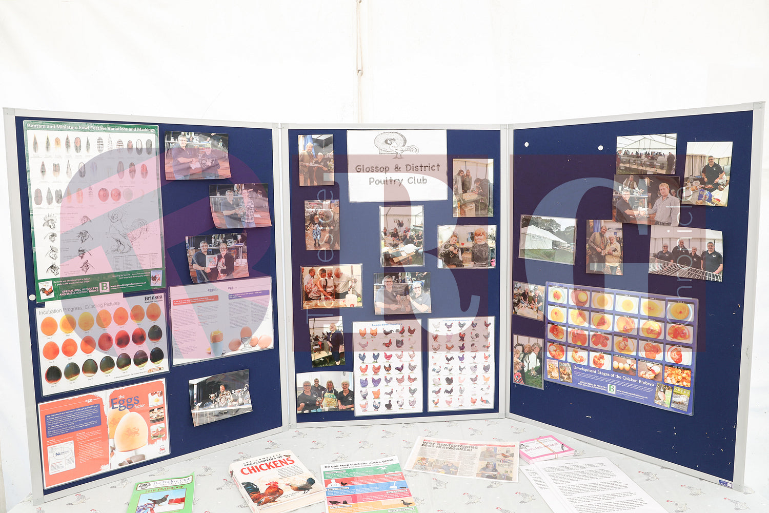 MOTTRAM SHOW  2025 (12).JPG