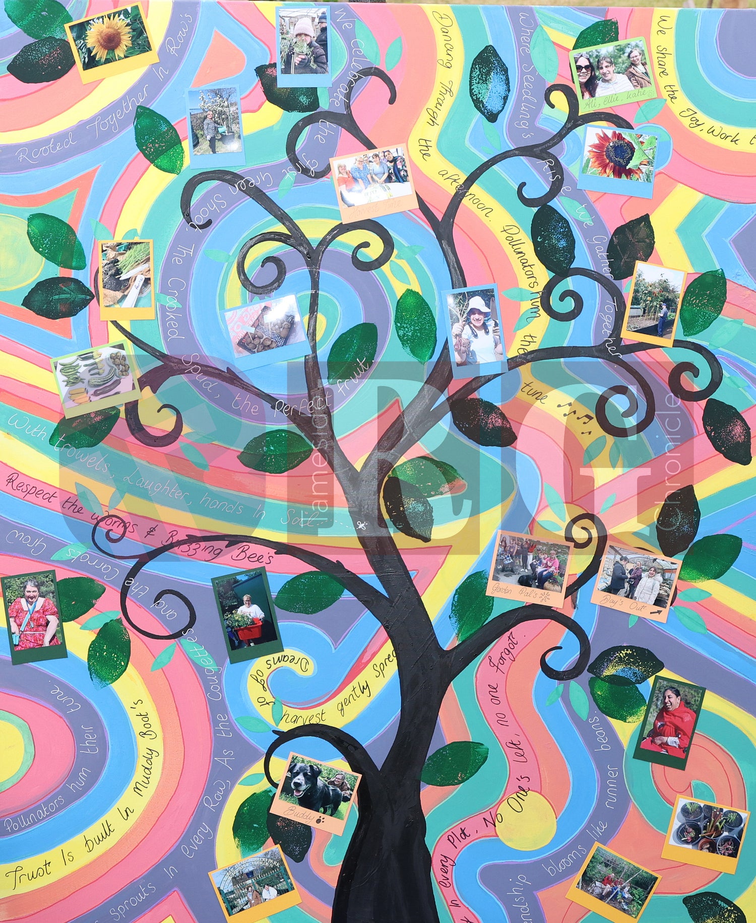 WATERLOO PARK BRITAIN IN BLOOM 2025 (39).JPG