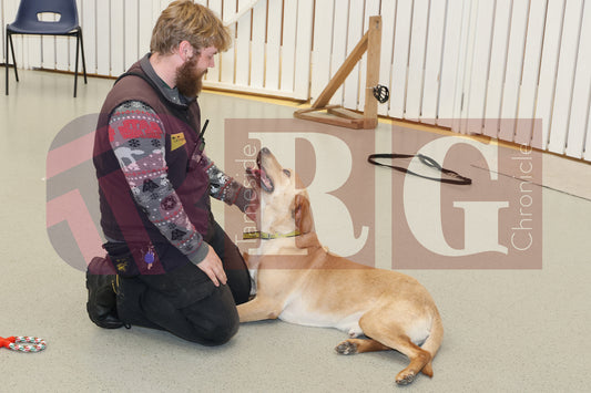 DOG TRUST DENTON JUMPER EVENT (17).JPG