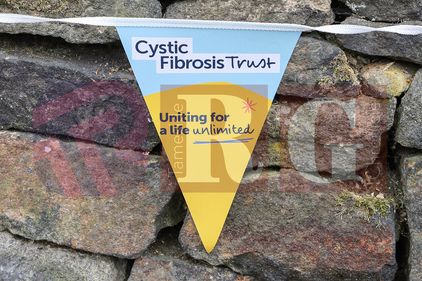 BIG FAIR CYSTIC FIBROSIS GLOSSOP (60).JPG