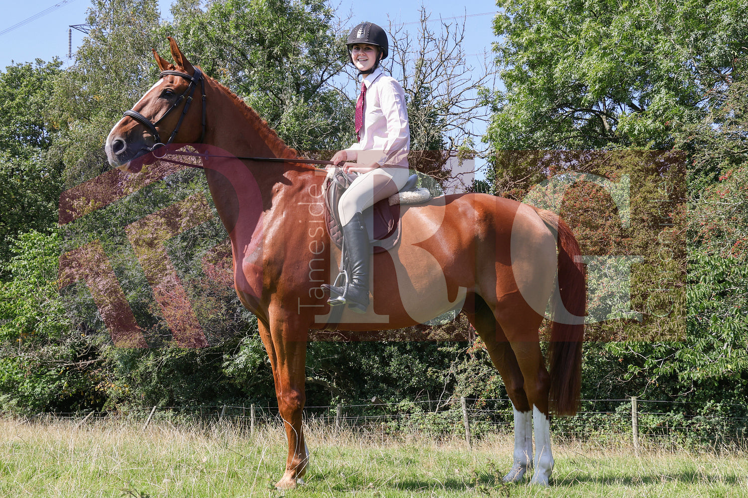 MOTTRAM SHOW  2025 (73).JPG