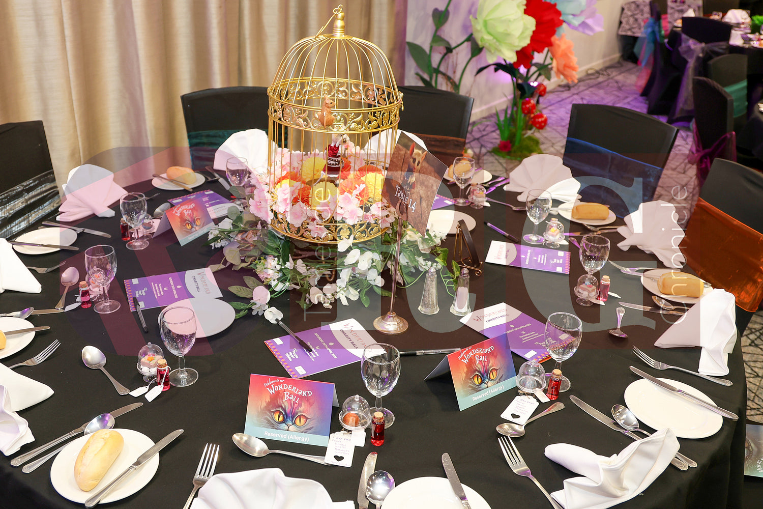 PURPLE HEART WISHES WONDERLAND BALL (14).JPG