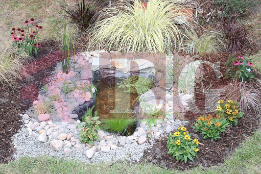 WATERLOO PARK BRITAIN IN BLOOM 2025 (3).JPG