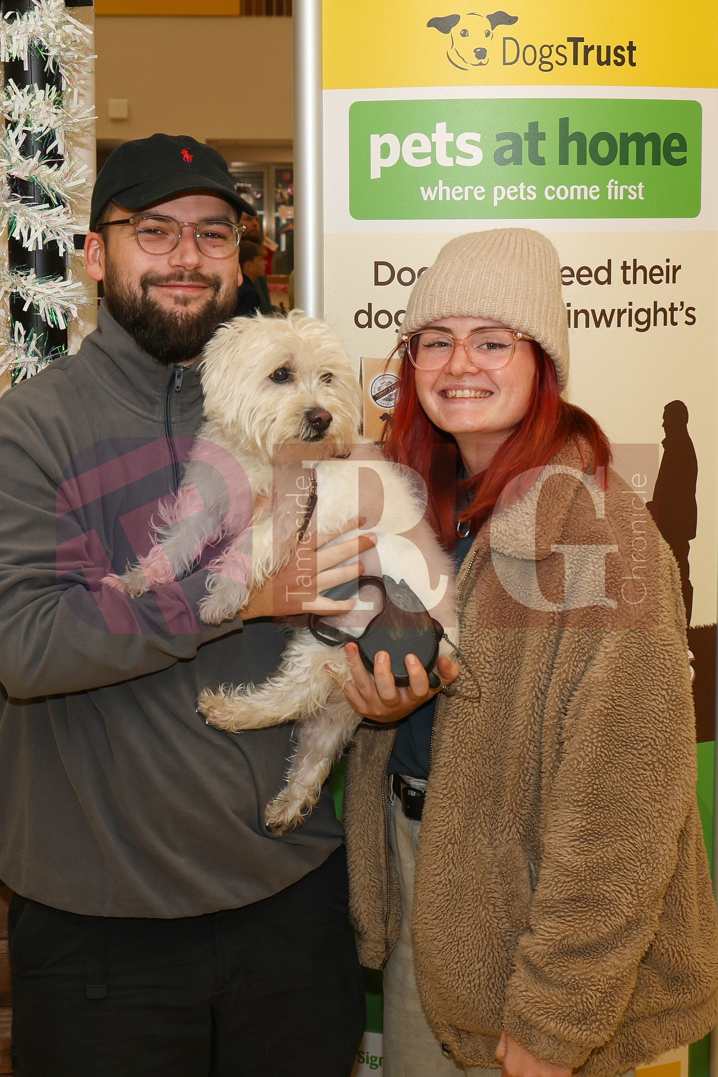 DOG TRUST DENTON XMAS (37).JPG