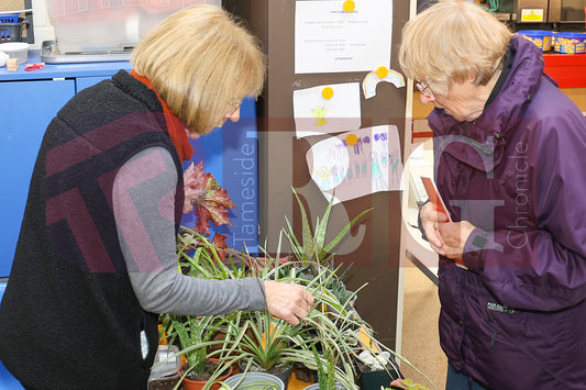 APPLE DAY VILLAGE PRIMARY GLOSSOP (54).JPG