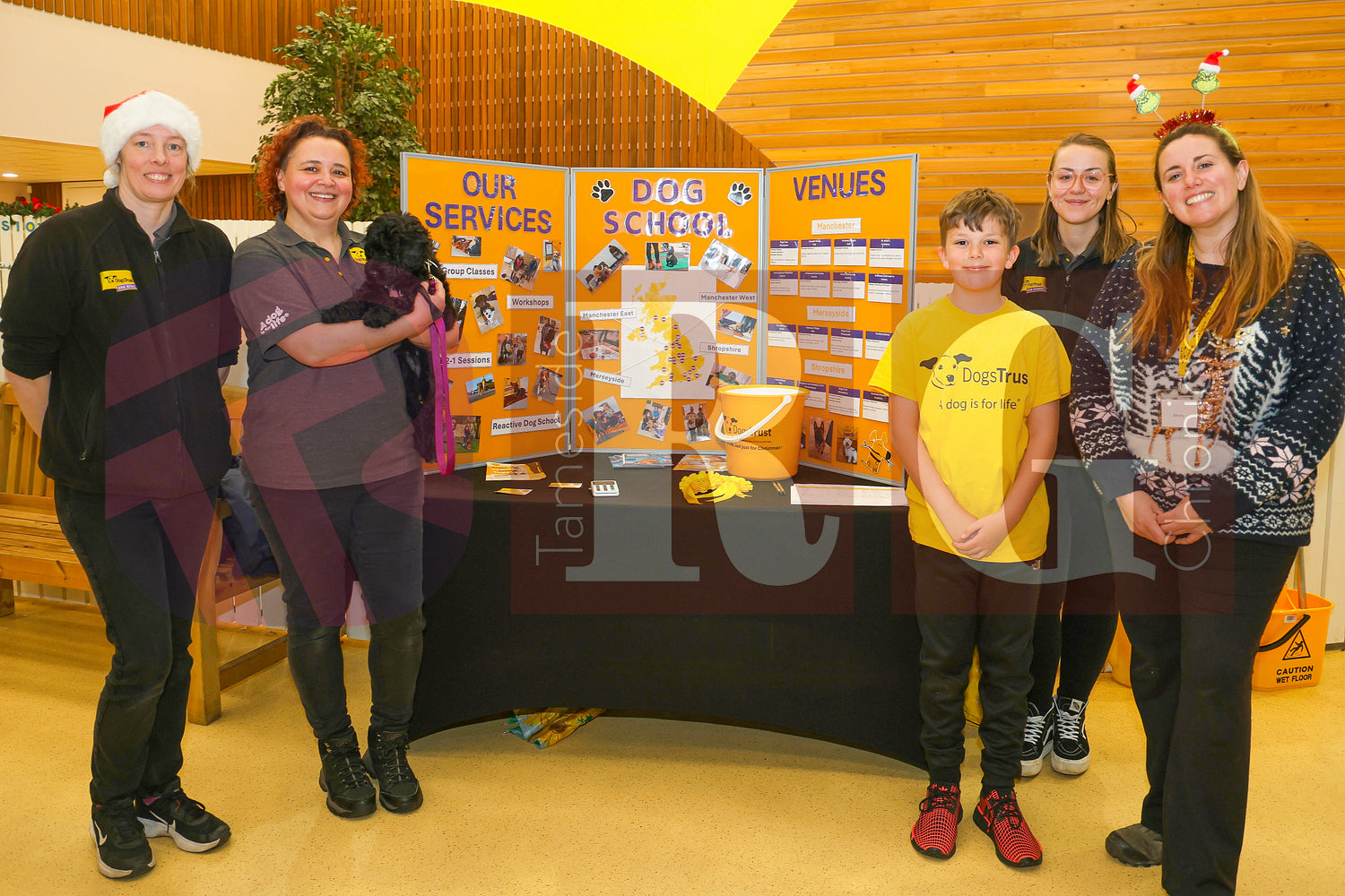 DOG TRUST DENTON XMAS (67).JPG