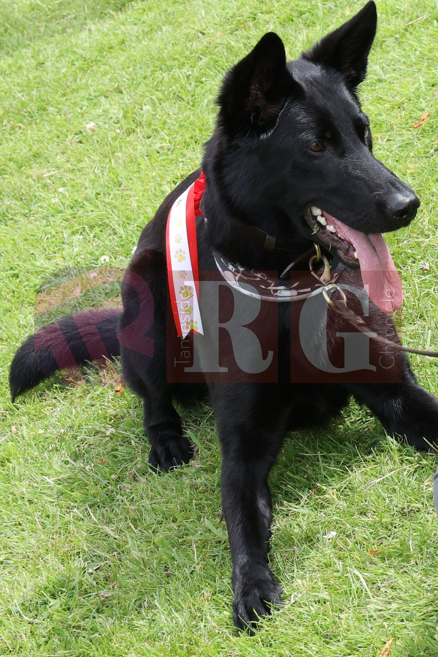 GEE CROSS FETE 2025 (59).JPG