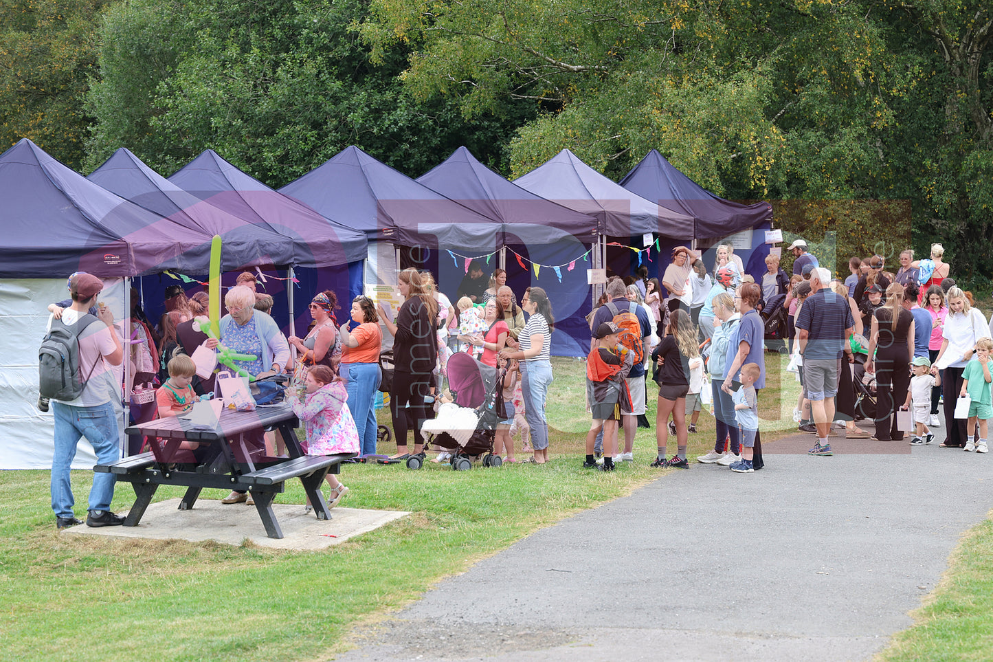 HADFIELD PICNIC IN THE PARK (51).JPG