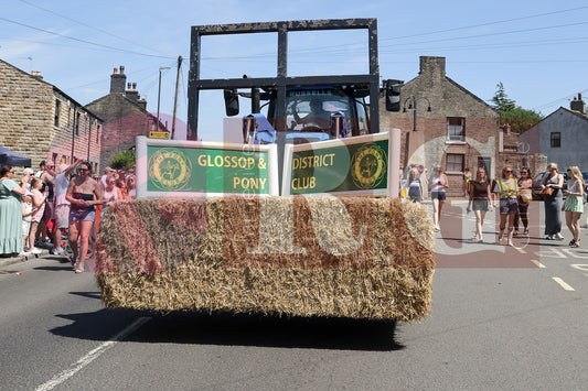 CHARLESWORTH CARNIVAL (17).JPG