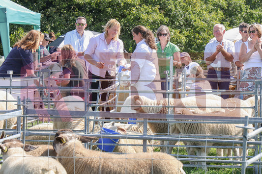 MOTTRAM SHOW  2025 (29).JPG