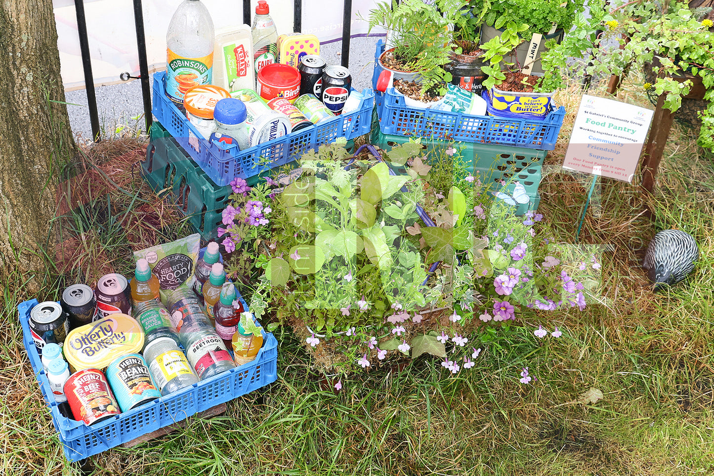 ST GABRIEL'S COMMUNITY GARDEN ASHTON (80).JPG