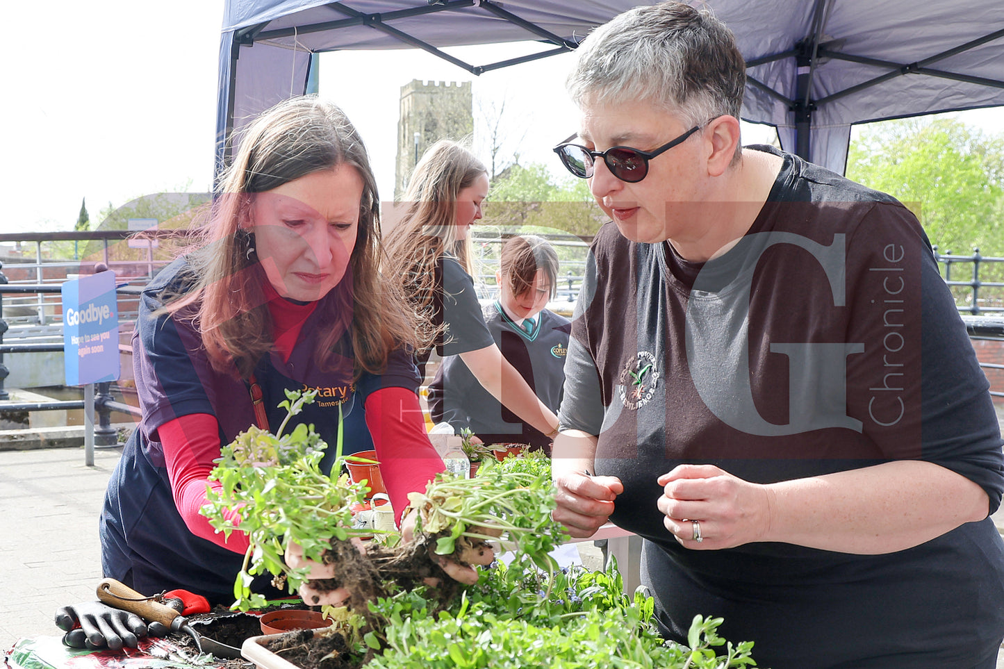 PLANT & SWAP EVENT TESCO STALYBRIDGE 2025 (21).JPG