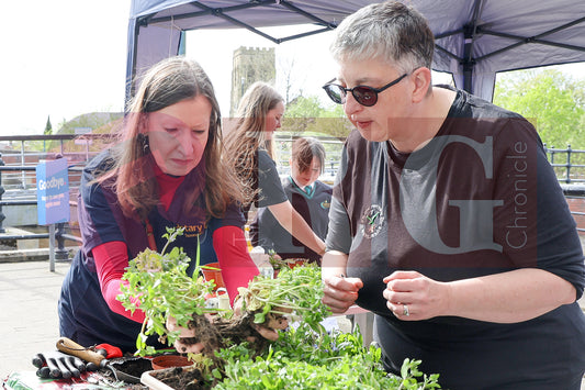 PLANT & SWAP EVENT TESCO STALYBRIDGE 2025 (21).JPG