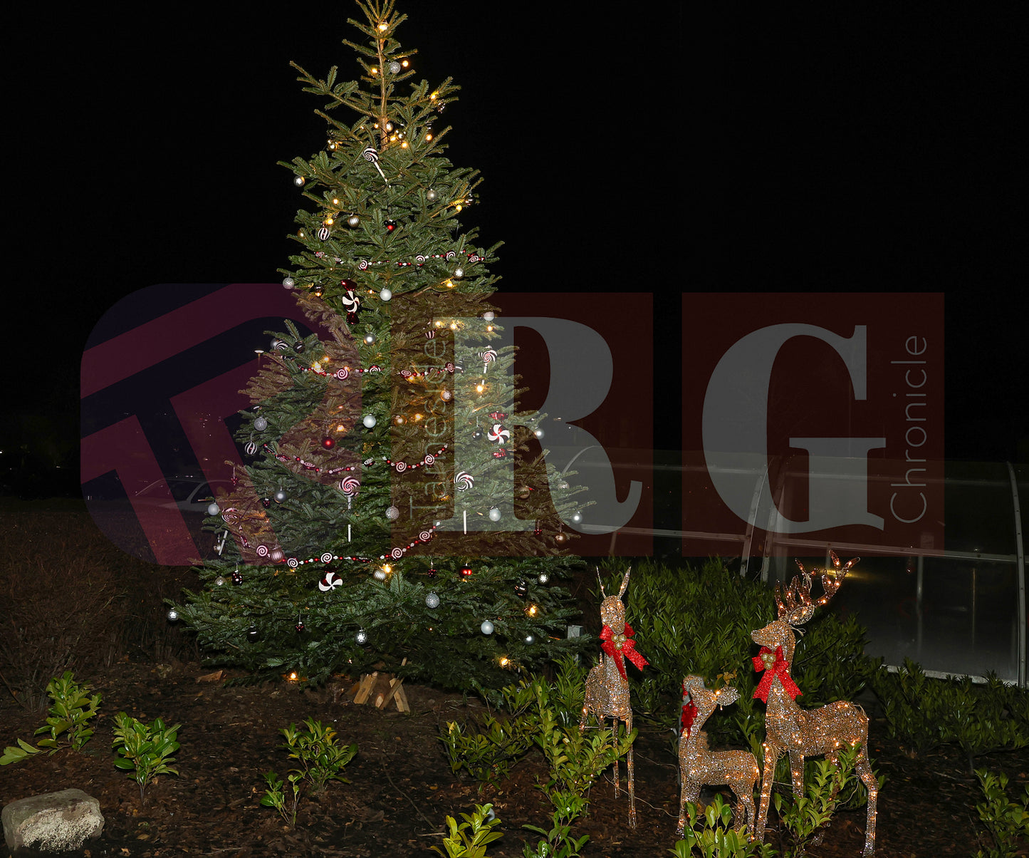 LIGHT SWITCH ON TAMESIDE HOSPITAL 2024 (18).JPG