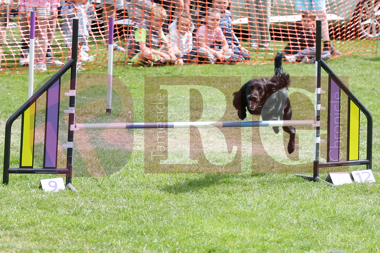 STALYBRIDGE SPRING SHOW (87).JPG