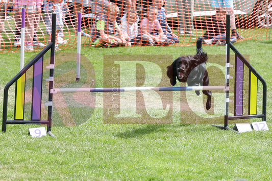 STALYBRIDGE SPRING SHOW (87).JPG