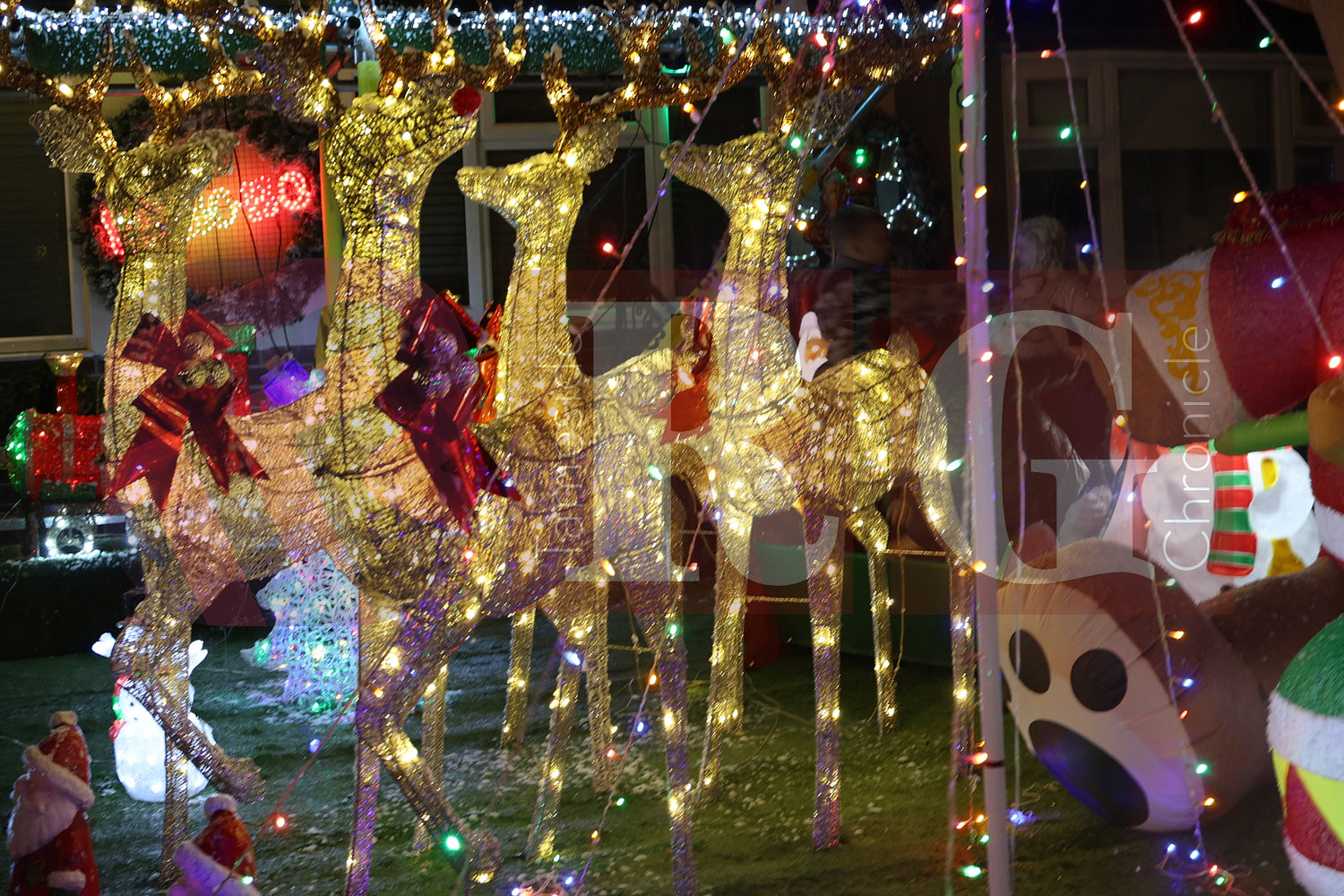 DEWSNAP LANE DUKINFIELD LIGHTS 2025 (28).JPG