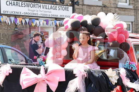 CHARLESWORTH CARNIVAL (79).JPG
