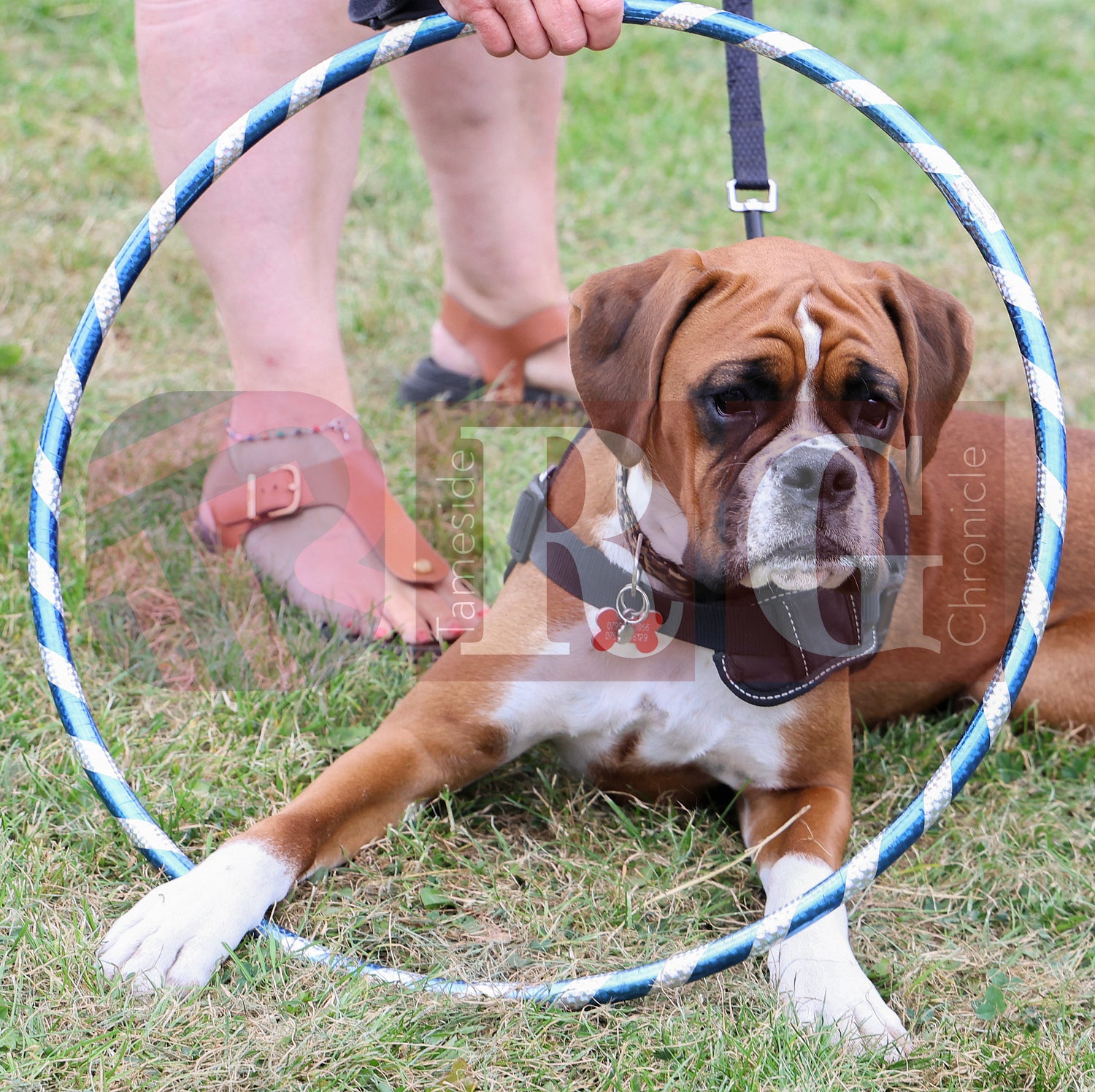 HADFIELD PICNIC IN THE PARK (68).JPG