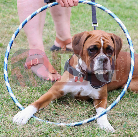 HADFIELD PICNIC IN THE PARK (68).JPG