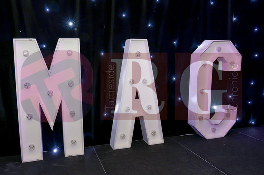 PURPLE HEART WISHES WONDERLAND BALL (31).JPG