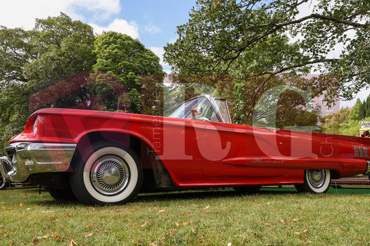 GLOSSOP CAR SHOW (65).JPG
