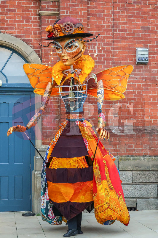 TAMESIDE BEER FESTIVAL 2025 (111).JPG