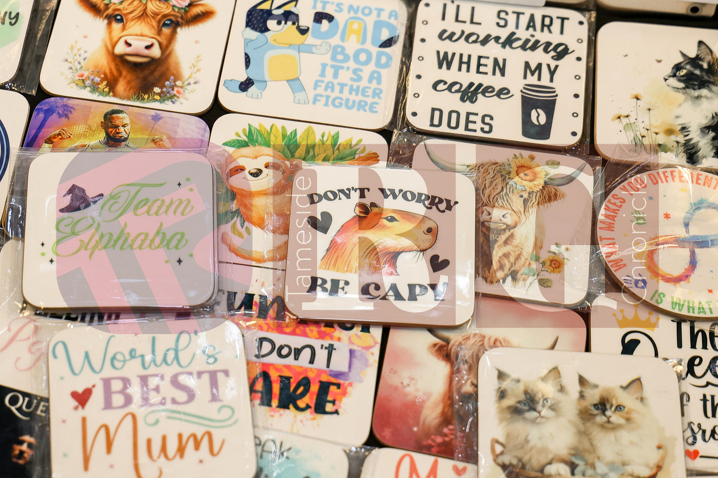 COMMUNITY FAIR ST. GEORGE'S SCHOOL MOSSLEY (29).JPG