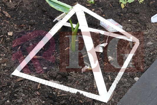 WATERLOO PARK BRITAIN IN BLOOM 2025 (61).JPG