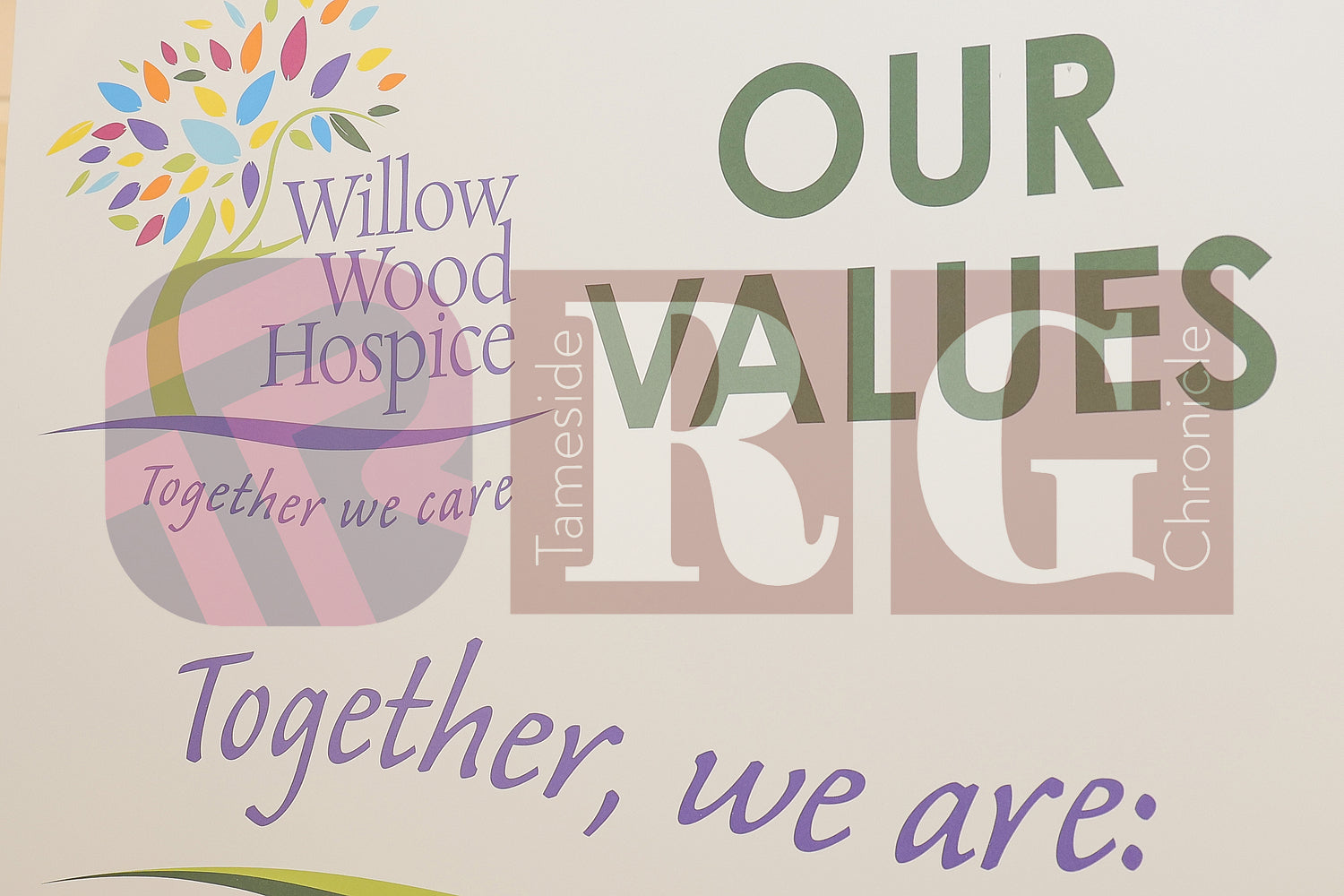 WILLOW WOOD GUINNESS WORLD RECORD 2025 (23).JPG