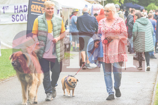 GLOSSOP  CARNIVAL 2025 (49).JPG