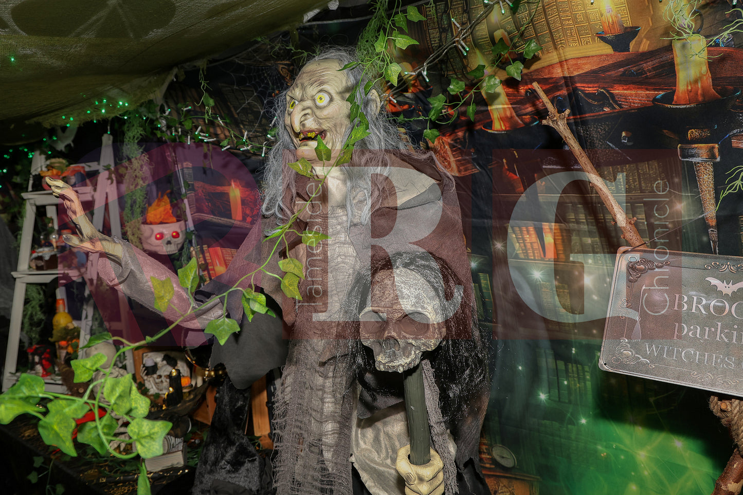 PIRATES OF THE HALLOWE'EN' HADFIELD (39).JPG